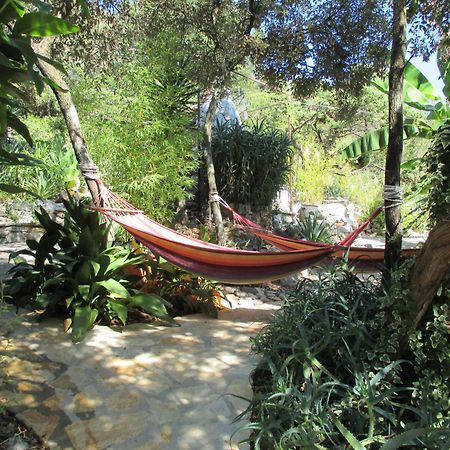 Relax Tiny Villas 40 Meters Of The Beach Zrnovo 外观 照片
