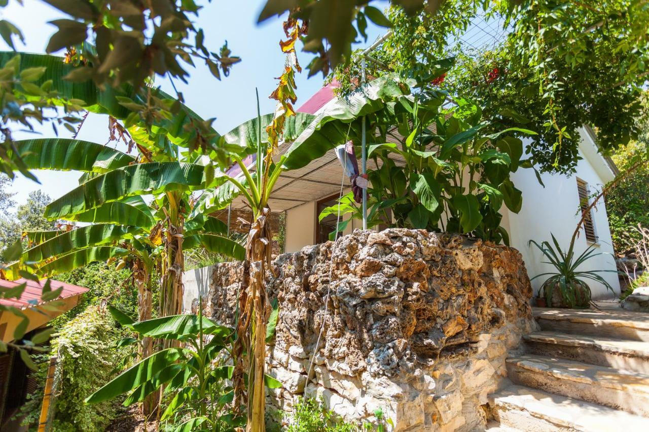 Relax Tiny Villas 40 Meters Of The Beach Zrnovo 外观 照片